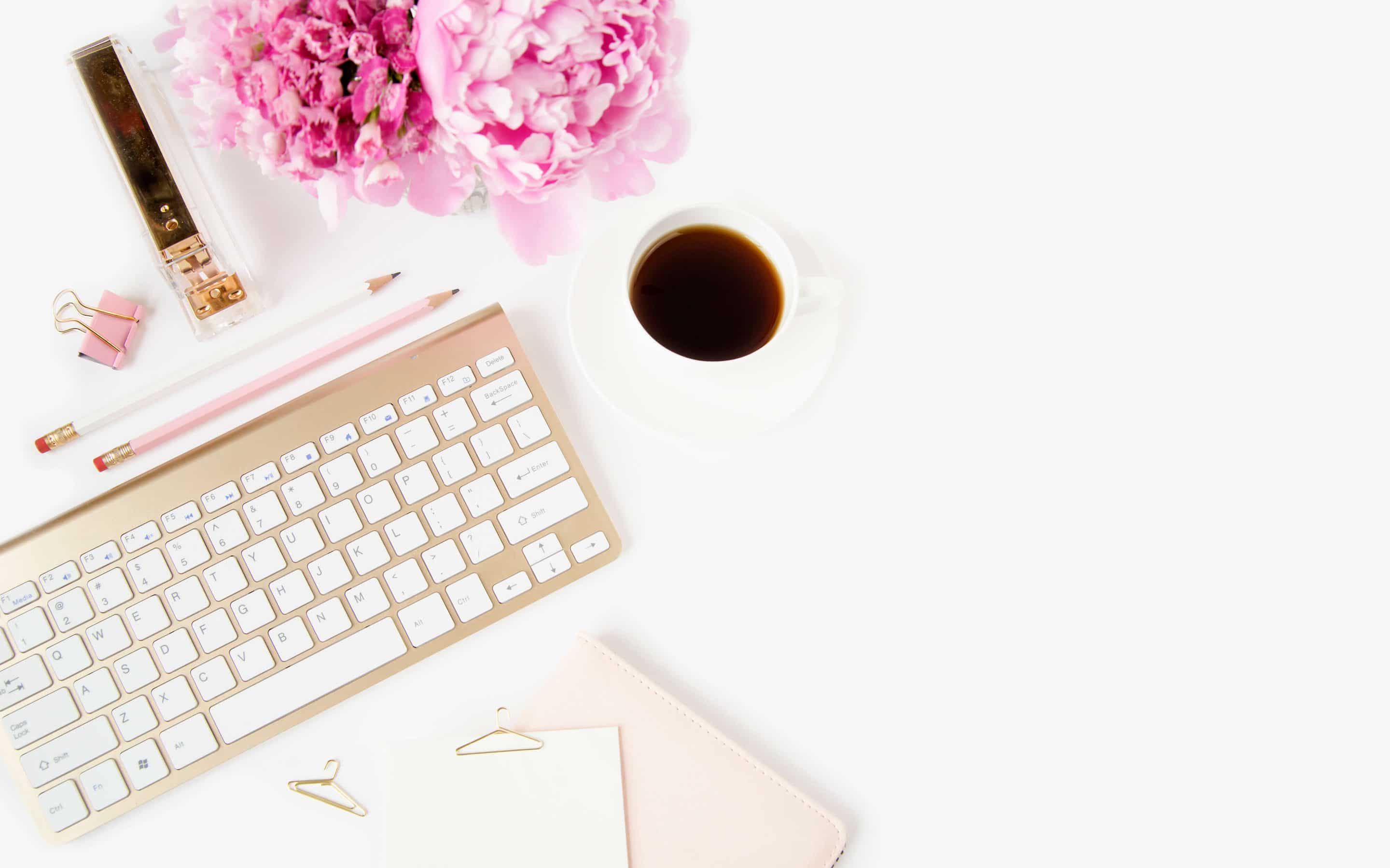 Anna’s Top Secret 6-Step Online Job Search Strategy