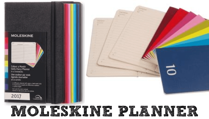 Moleskine planner