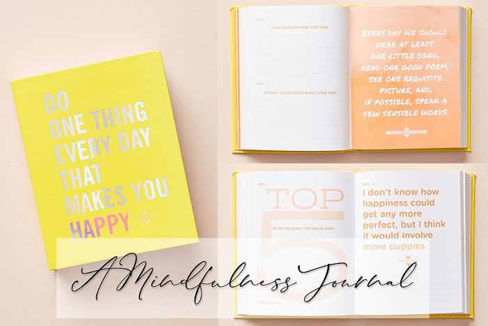 A Mindfulness Journal (1)